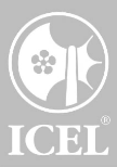 Icel logo